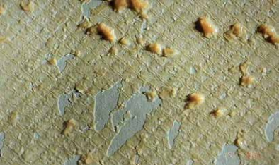 哪些操作參數(shù)的改變表示陶氏RO膜已被微生物污染？